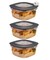 Rubbermaid Premier Flex & Seal Food Storage Set, 5 Cup, 3 Tritan Containers, 3 Grey Flex and Seal Lids, 6 Piece Bundle Set